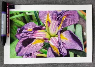 Angela pinto flores violetas